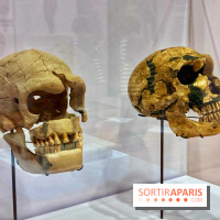 Préhistoire, entre utopie et réalité  - IMG 5601