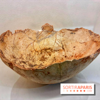 Préhistoire, entre utopie et réalité  - IMG 5627