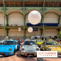 Tour Auto 2026 : plus de 230 voitures de collection s'exposent sous la verrière du Grand Palais