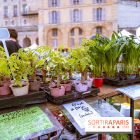 Eden, la Fête des Plantes du Château de la Roche Guyon - photos