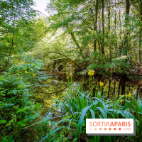 La réserve Naturelle des Etangs de Bonnelles, son pont kiosque, temple de l'amour et ses trésors