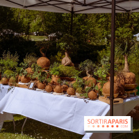 Fête des Plantes au Château de Dampierre dans les Yvelines - photos