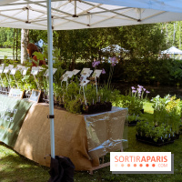 Fête des Plantes au Château de Dampierre dans les Yvelines - photos