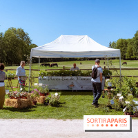 Fête des Plantes au Château de Dampierre dans les Yvelines - photos