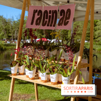 Fête des Plantes au Château de Dampierre dans les Yvelines - photos