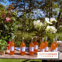 Fête des Plantes au Château de Dampierre dans les Yvelines - photos