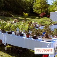 Fête des Plantes au Château de Dampierre dans les Yvelines - photos