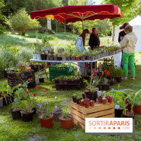 Fête des Plantes au Château de Dampierre dans les Yvelines - photos