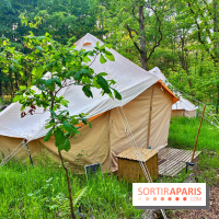 Bivouac avec les loups