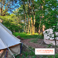 Bivouac avec les loups