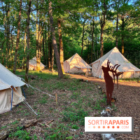 Bivouac avec les loups
