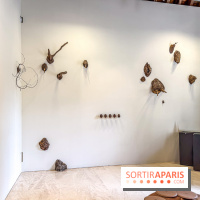 Lélia Demoisy au Domaine de Chamarande : une exposition autour des récits de forêts