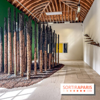 Lélia Demoisy au Domaine de Chamarande : une exposition autour des récits de forêts