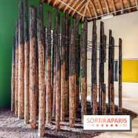Lélia Demoisy au Domaine de Chamarande : une exposition autour des récits de forêts