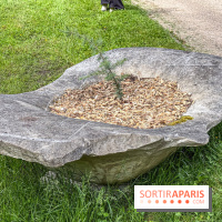 Lélia Demoisy au Domaine de Chamarande : une exposition autour des récits de forêts