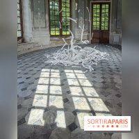 Lélia Demoisy au Domaine de Chamarande : une exposition autour des récits de forêts