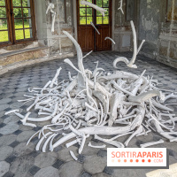 Lélia Demoisy au Domaine de Chamarande : une exposition autour des récits de forêts