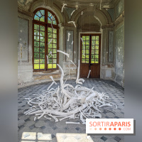 Lélia Demoisy au Domaine de Chamarande : une exposition autour des récits de forêts