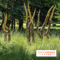 Lélia Demoisy au Domaine de Chamarande : une exposition autour des récits de forêts
