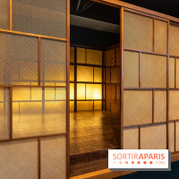 La Maison Guimet (Hôtel d'Heidelbach) - les photos