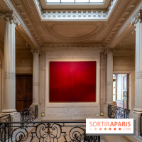 La Maison Guimet (Hôtel d'Heidelbach) - les photos