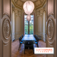 La Maison Guimet (Hôtel d'Heidelbach) - les photos