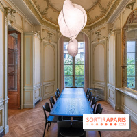 La Maison Guimet (Hôtel d'Heidelbach) - les photos