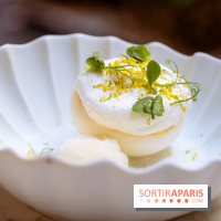La terrasse jardin du Sax Hotel avec piscine - pavlova citron