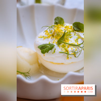 La terrasse jardin du Sax Hotel avec piscine - pavlova citron