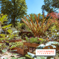 Jardins, Jardin 2026, le salon jardins en plein air à Paris, les photos