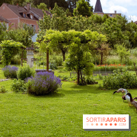 Le domaine du Chateau de la Celle SainCloud dans les Yvelines - photos
