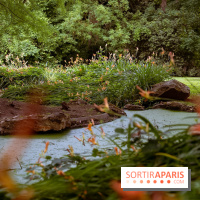 Le domaine du Chateau de la Celle SainCloud dans les Yvelines - photos