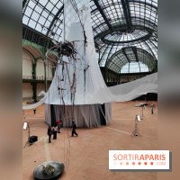 Nous, frissons d'étoile : une installation immersive contemporaine au Grand Palais