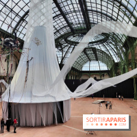 Nous, frissons d'étoile : une installation immersive contemporaine au Grand Palais