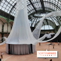 Nous, frissons d'étoile : une installation immersive contemporaine au Grand Palais