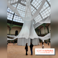 Nous, frissons d'étoile : une installation immersive contemporaine au Grand Palais