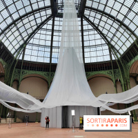 Nous, frissons d'étoile : une installation immersive contemporaine au Grand Palais