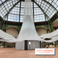 Nous, frissons d'étoile : une installation immersive contemporaine au Grand Palais