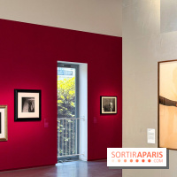Fragiles beautés : la collection de photos d'Elton John exposée au Jeu de Paume