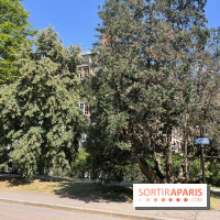 Le parc de la Cité Universitaire, espace vert unique au monde - nos photos