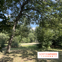 Le parc de la Cité Universitaire, espace vert unique au monde - nos photos