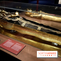 Le sarcophage vu de côté - Toutankhamon : son tombeau et ses trésors