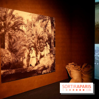 Décor mural et projection dans l’exposition - Toutankhamon : son tombeau et ses trésors