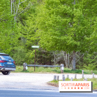 Liaisons douces à Fontainebleau : la forêt à vélo, les photos