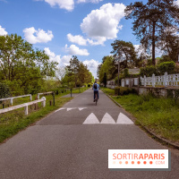 Liaisons douces à Fontainebleau : la forêt à vélo, les photos