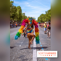Carnaval Tropical 2026, les photos