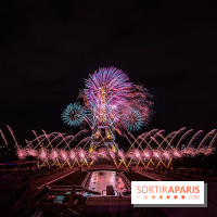 Le feux d'artifice de Paris 2026, les photos du spectacle