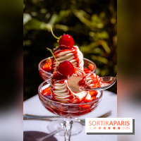 La terrasse-jardin de Maison Roland au Shangri-La Paris - les photos