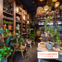 Mégie, la cantine botanique, boutique et atelier floral - photos