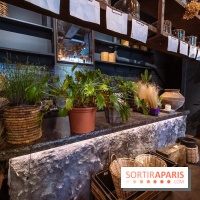 Mégie, la cantine botanique, boutique et atelier floral - photos